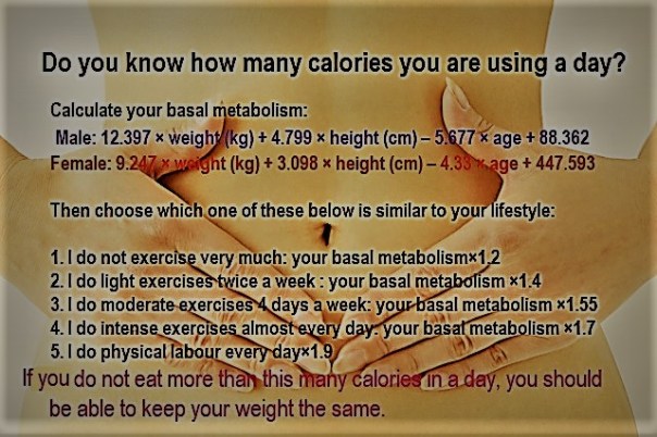 130b02360a1cd85fec815497664fd272_s